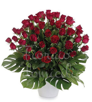 Fiori a domicilio: 50 rose rosse
