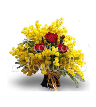 mimose-tre-rosse