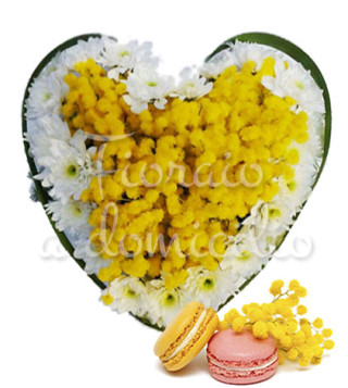 cuore-di-mimose-e-margherite-con-macaron